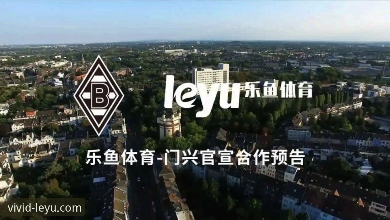 乐鱼体育平台安装指南：5个核心步骤与3类常见问题深度解析